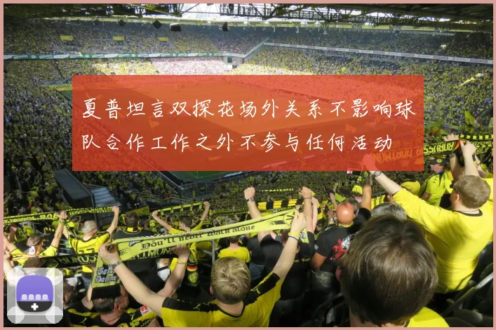 夏普坦言双探花场外关系不影响球队合作工作之外不参与任何活动